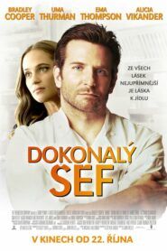 Dokonalý šéf