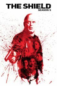 Policejní odznak: Sezóna 5