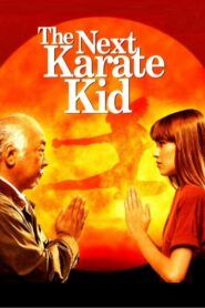 Nový Karate Kid
