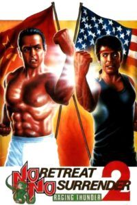 Karate tiger 2: Zuřící blesk