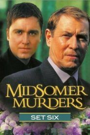 Vraždy v Midsomeru: Sezóna 6