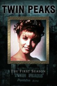 Městečko Twin Peaks: Sezóna 1