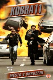 Kobra 11: Sezóna 13