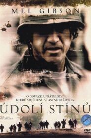 Údolí stínů