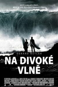 Na divoké vlně