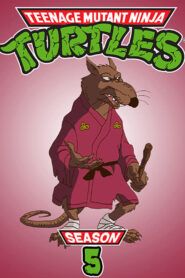 Želvy Ninja: Sezóna 5