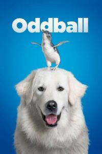 Oddball a tučňáci