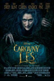 Čarovný les