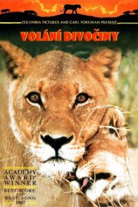 Volání divočiny