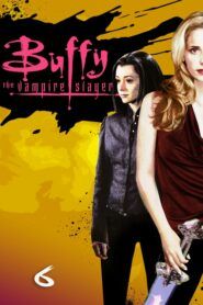 Buffy, přemožitelka upírů : Sezóna 6