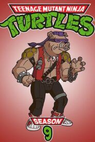 Želvy Ninja: Sezóna 9