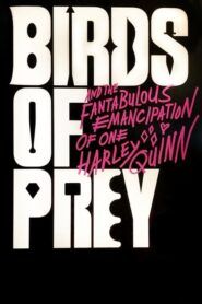 Birds of Prey (And the Fantabulous Emancipation of One Harley Quinn)