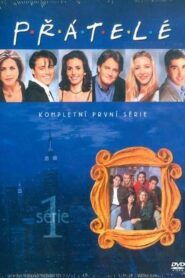 Přátelé: Sezóna 1