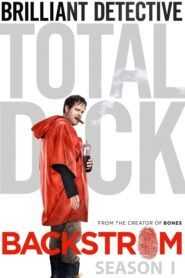 Poručík Backstrom: Sezóna 1