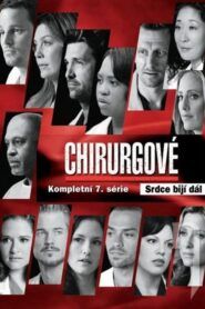 Chirurgové: Sezóna 7