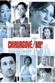 Chirurgové: Sezóna 2