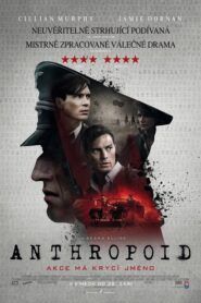 Anthropoid