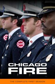 Chicago Fire: Sezóna 1