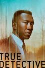 Temný případ / True Detective