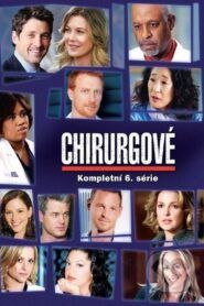 Chirurgové: Sezóna 6