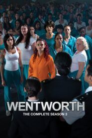 Wentworth: Sezóna 3