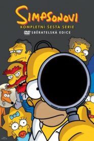 Simpsonovi: Sezóna 6