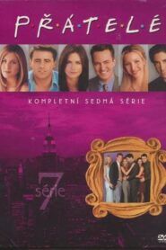 Přátelé: Sezóna 7