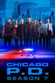 Chicago P.D.: Sezóna 7