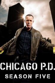 Chicago P.D.: Sezóna 5