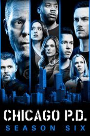 Chicago P.D.: Sezóna 6