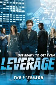 Dokonalý podraz : Sezóna 1