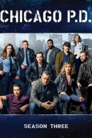 Chicago P.D.: Sezóna 3