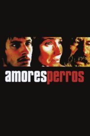 Amores perros – Láska je kurva