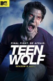 Vlčí mládě / Teen Wolf
