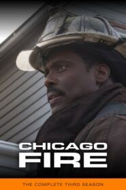 Chicago Fire: Sezóna 3