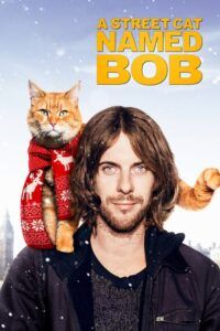 Kocour Bob