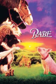 Babe: galantní prasátko