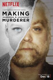 Making a Murderer: Sezóna 1