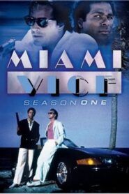 Miami Vice: Sezóna 1