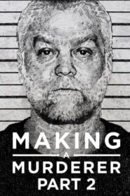 Making a Murderer: Sezóna 2