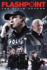Flashpoint: Sezóna 5