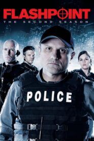 Flashpoint: Sezóna 2
