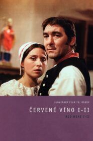 Červené víno 2