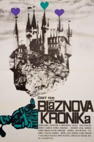 Bláznova kronika