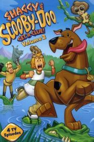 Shaggy a Scooby-Doo na stopě: Sezóna 2